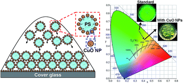 Graphical abstract: Preparation of a colloidal photonic crystal containing CuO nanoparticles with tunable structural colors