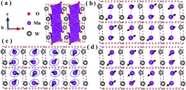 Graphical abstract: Modulated multiferroic properties of MnWO4 via chemical doping