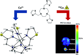 Graphical abstract: Synthesis, 64Cu-labeling and PET imaging of 1,4,7-triazacyclononane derived chelators with pendant azaheterocyclic arms
