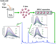 Graphical abstract: Carbon dots isolated from chromatographic fractions for sensing applications