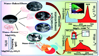 Graphical abstract: Facile synthesis of defect-induced highly-luminescent pristine MgO nanostructures for promising solid-state lighting applications