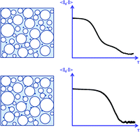 Graphical abstract: Following nanoparticles in complex turbid media