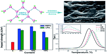 Graphical abstract: Hyperbranched polyurethane as a highly efficient toughener in epoxy thermosets with reaction-induced microphase separation