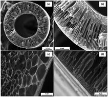 Graphical abstract: Polyethersulfone (PES)/cellulose acetate butyrate (CAB) composite hollow fiber membranes for BTEX separation from produced water