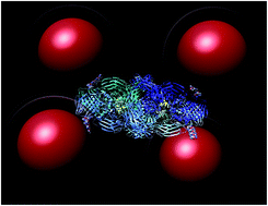 Graphical abstract: Kinetic enhancement of the diffusion-limited enzyme beta-galactosidase when displayed with quantum dots