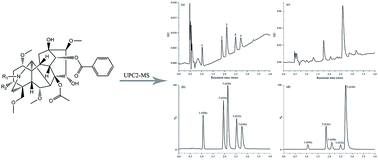 Graphical abstract: Quantitative analysis of five toxic alkaloids in Aconitum pendulum using ultra-performance convergence chromatography (UPC2) coupled with mass spectrometry