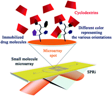 Graphical abstract: High-throughput measurement of drug–cyclodextrin kinetic rate constants by a small molecule microarray using surface plasmon resonance imaging