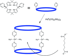 Graphical abstract: Self-organization of dipyridylcalix[4]pyrrole into a supramolecular cage for dicarboxylates