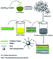 Graphical abstract: Preparation and characterization of antibacterial paper coated with sodium lignosulfonate stabilized ZnO nanoparticles