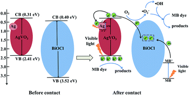 Graphical abstract: Facile preparation of an Ag/AgVO3/BiOCl composite and its enhanced photocatalytic behavior for methylene blue degradation