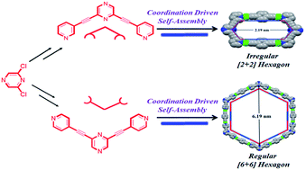 Graphical abstract: Pyrazine-based donor tectons: synthesis, self-assembly and characterization