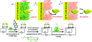 Graphical abstract: Nanostructured conducting molecularly imprinted polypyrrole based quartz crystal microbalance sensor for naproxen determination and its electrochemical impedance study