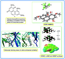 Graphical abstract: 3,5,7-Trimethoxyphenanthrene-1,4-dione: a new biologically relevant natural phenanthrenequinone derivative from Dioscorea prazeri and studies on its single X-ray crystallographic behavior, molecular docking and other physico-chemical properties