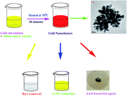 Graphical abstract: A new and facile strategy for the one-pot fabrication of luminescent gold nanoclusters and their prospective application
