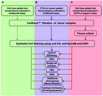 Graphical abstract: Precision microfilters as an all in one system for multiplex analysis of circulating tumor cells