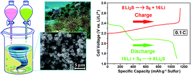 Graphical abstract: One-step synthesis of an urchin-like sulfur/polyaniline nano-composite as a promising cathode material for high-capacity rechargeable lithium–sulfur batteries