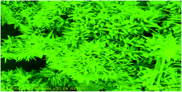 Graphical abstract: Grass-like Co2P superstructures: direct synthesis between elements, forming mechanism and catalytic properties