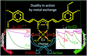 Graphical abstract: Modulation of stability and functionality of a phyto-antioxidant by weakly interacting metal ions: curcumin in aqueous solution