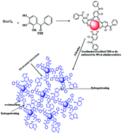 Graphical abstract: 2,3,4-Trihydroxy benzophenone as a novel reducing agent for one-step synthesis of size-optimized gold nanoparticles and their application in colorimetric sensing of adenine at nanomolar concentration