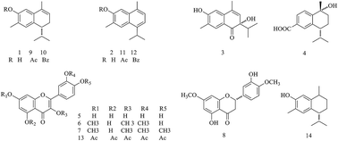 Graphical abstract: Heterotheca inuloides (Mexican arnica) metabolites protect Caenorhabditis elegans from oxidative damage and inhibit nitric oxide production