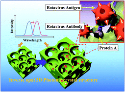 Graphical abstract: Direct label-free detection of Rotavirus using a hydrogel based nanoporous photonic crystal