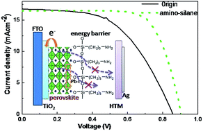 Graphical abstract: Polar molecules modify perovskite surface to reduce recombination in perovskite solar cells