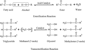 Graphical abstract: Production, characterization, engine performance and emission characteristics of Croton megalocarpus and Ceiba pentandra complementary blends in a single-cylinder diesel engine