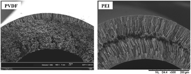Graphical abstract: Effect of hydrophobic montmorillonite (MMT) on PVDF and PEI hollow fiber membranes in gas–liquid contacting process: a comparative study