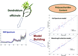 Graphical abstract: A green method for the quantification of polysaccharides in Dendrobium officinale