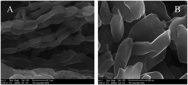 Graphical abstract: Acetylcholinesterase biosensor based on the mesoporous carbon/ferroferric oxide modified electrode for detecting organophosphorus pesticides