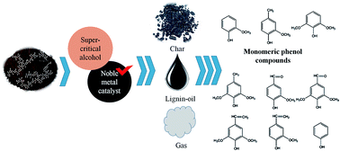 Graphical abstract: Comparison of degradation features of lignin to phenols over Pt catalysts prepared with various forms of carbon supports