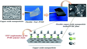 Graphical abstract: Significant enhancement of the electroactive β-phase of PVDF by incorporating hydrothermally synthesized copper oxide nanoparticles