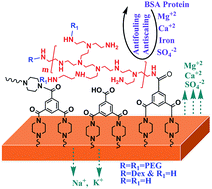 Graphical abstract: Tailoring polyamide thin film composite nanofiltration membranes by polyethyleneimine and its conjugates for the enhancement of selectivity and antifouling property