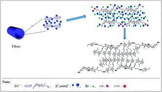 Graphical abstract: Tailoring self-assembly behavior of a biological surfactant by imidazolium-based surfactants with different lengths of hydrophobic alkyl tails