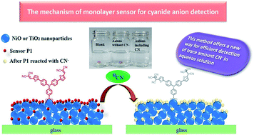 Graphical abstract: Monolayer molecular probes for detection of trace amounts of cyanide anions