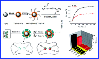 Graphical abstract: Facile preparation of a novel Hg(ii)-ion-imprinted polymer based on magnetic hybrids for rapid and highly selective removal of Hg(ii) from aqueous solutions