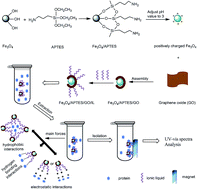 Graphical abstract: Ionic liquid-coated Fe3O4/APTES/graphene oxide nanocomposites: synthesis, characterization and evaluation in protein extraction processes