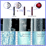 Graphical abstract: Controlled growth of silver nanoparticles on carbon fibers for reinforcement of both tensile and interfacial strength