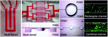 Graphical abstract: Non-photolithographic plastic-mold-based fabrication of cylindrical and multi-tiered poly(dimethylsiloxane) microchannels for biomimetic lab-on-a-chip applications
