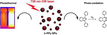 Graphical abstract: Iridium complex loaded polypyrrole nanoparticles for NIR laser induced photothermal effect and generation of singlet oxygen