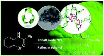 Graphical abstract: Green, efficient and large-scale synthesis of benzimidazoles, benzoxazoles and benzothiazoles derivatives using ligand-free cobalt-nanoparticles: as potential anti-estrogen breast cancer agents, and study of their interactions with estrogen receptor by molecular docking