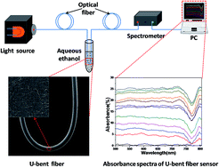 Graphical abstract: Absorbance response of a graphene oxide coated U-bent optical fiber sensor for aqueous ethanol detection