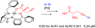 Graphical abstract: Synthesis of optically pure (S)-2-amino-5-arylpent-4-ynoic acids by Sonogashira reactions and their potential use as highly selective potent inhibitors of aldose reductase