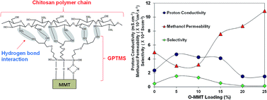 Graphical abstract: Biopolymer-based electrolyte membranes from chitosan incorporated with montmorillonite-crosslinked GPTMS for direct methanol fuel cells