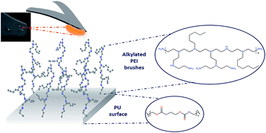 Graphical abstract: Nanoscale characteristics of antibacterial cationic polymeric brushes and single bacterium interactions probed by force microscopy