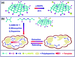 Graphical abstract: Synthesis of graphene oxide functionalized surface-imprinted polymer for the preconcentration of tetracycline antibiotics