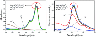 Graphical abstract: Highly selective and sensitive colorimetric and fluorescent chemosensor of Fe3+ and Cu2+ based on 2,3,3-trimethylnaphto[1,2-d] squaraine