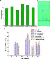 Graphical abstract: Antioxidant activity of 1-hydroxy-1-norresistomycin derived from Streptomyces variabilis KP149559 and evaluation of its toxicity against zebra fish Danio rerio