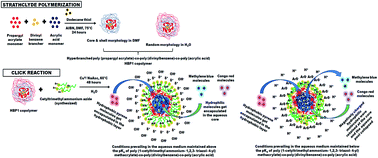Graphical abstract: Sequential amphiphilic and pH responsive hyperbranched copolymer: influence of hyper branching/pendant groups on reversible self assembling from polymersomes to aggregates and usefulness in waste water treatment