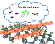Graphical abstract: Cytotoxicity of fluorographene